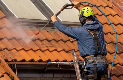 Démoussage et hydrofuge de toiture à Échandelys